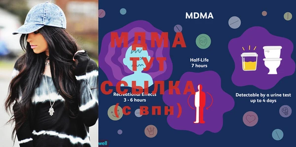 индика Аркадак