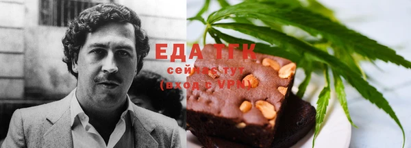 индика Аркадак