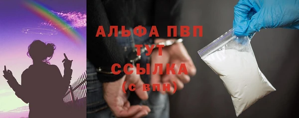 индика Аркадак