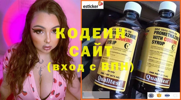 индика Аркадак