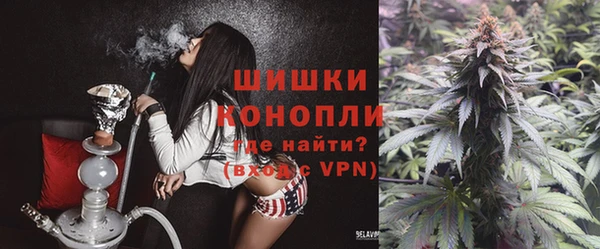индика Аркадак
