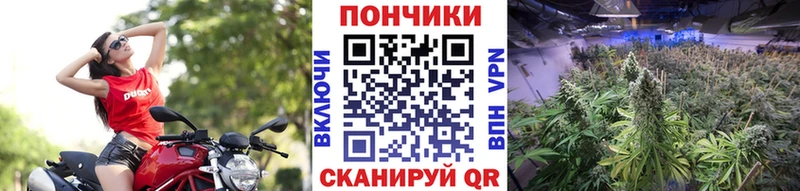 Купить закладки  Нахабино  МАРИХУАНА конопля 